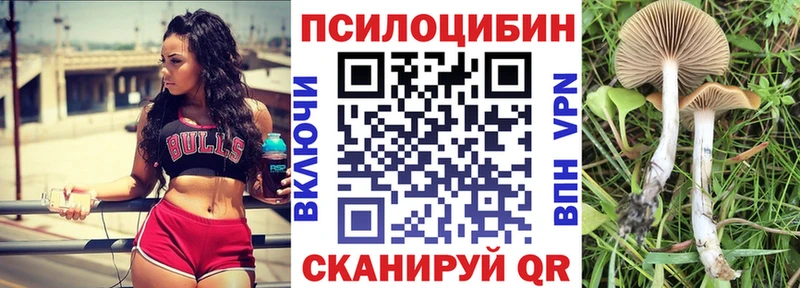 Псилоцибиновые грибы Psilocybe  Семилуки 