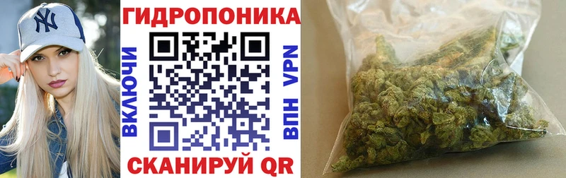 Марихуана планчик  omg ссылки  Семилуки 